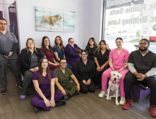 SoCal Veterinary Hospital