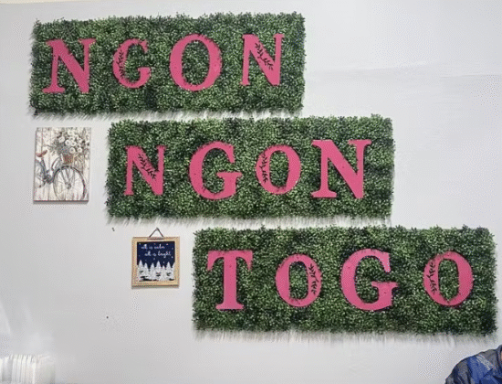 Ngon Ngon