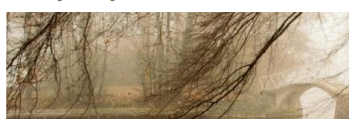 Islamic Speakers Bureau San Diegans